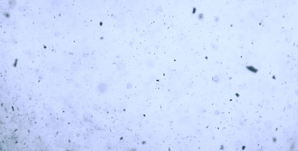 Dust Particles Dust Particles