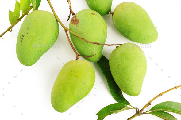 Green Mango (Misc) Photo Download