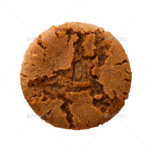 Ginger Snap Cookie isolated (Misc) Photo Download