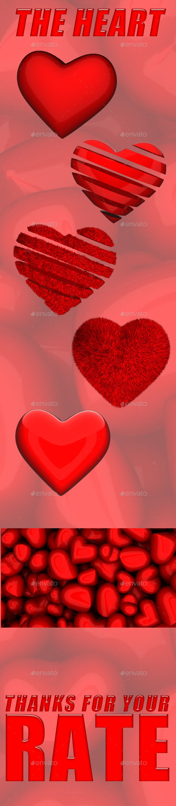 The Heart The Heart