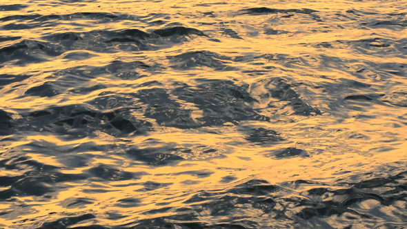 Sea & Waves Sea & Waves