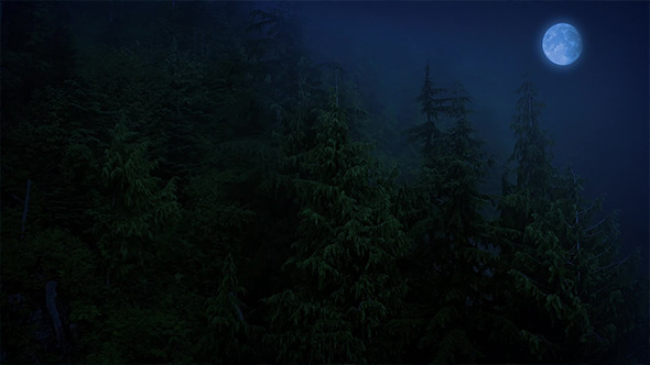 Flight Over Scary Forest With Full Moon Flight Over Scary Forest With Full Moon