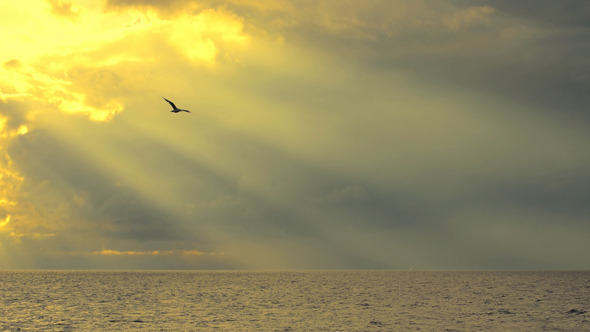 Sunset & Sea Sunset & Sea