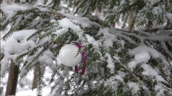 Ball On Christmas Tree