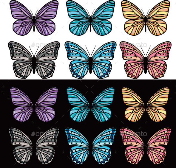 Butterfly Butterfly