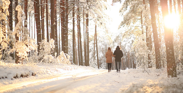 Couple Walking in Winter Forest Couple Walking in Winter Forest