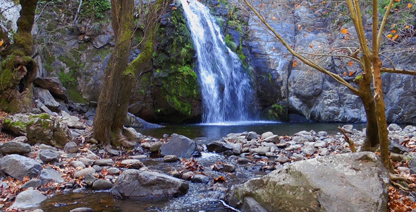 Waterfall and Trees Waterfall and Trees
