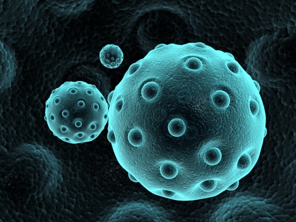 3DOcean virus 9929855 3DOcean virus 9929855