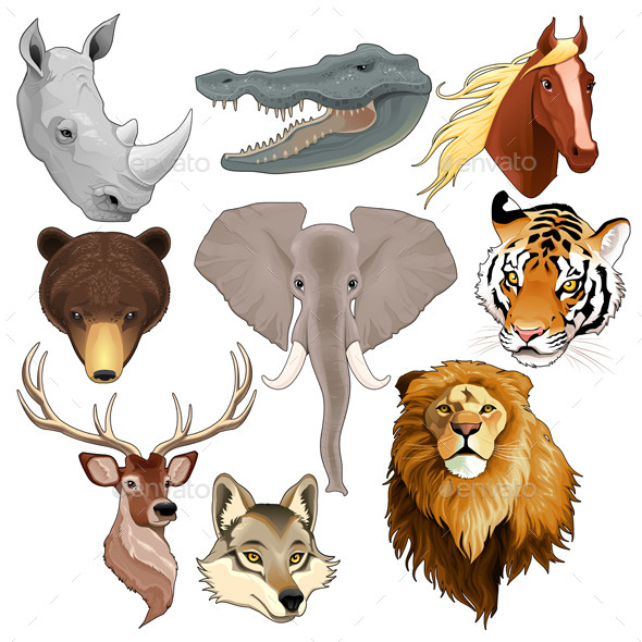 GraphicRiver Set of Animal Heads 9938054 GraphicRiver Set of Animal Heads 9938054