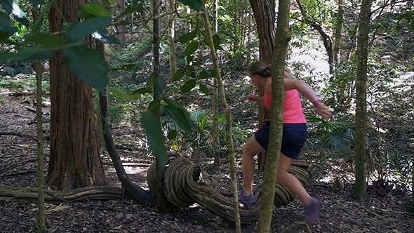 Running Over Vines In The Rainforest Running Over Vines In The Rainforest