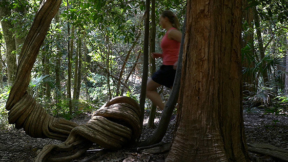 Running In The Rainforest Running In The Rainforest