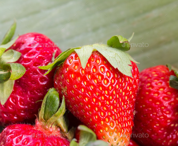 Fresh Strawberries Means Strawberry Organic And Fruit
