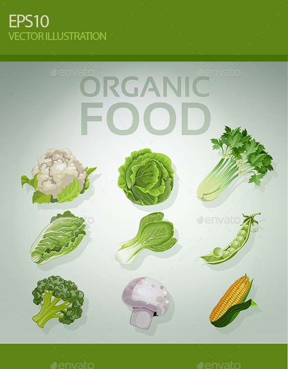 Organic Vegetables (Organic Objects)