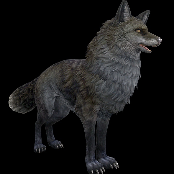 3DOcean Fox Dark 9953606 3DOcean Fox Dark 9953606