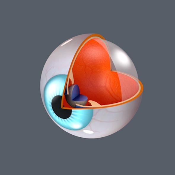 3DOcean 3D Eye 9955824 3DOcean 3D Eye 9955824