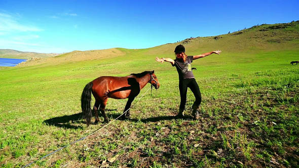 Female Tourist Next To Mongolian Horse Female Tourist Next To Mongolian Horse
