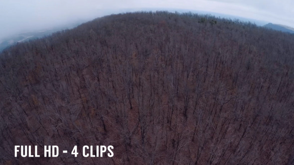 Aerial Scary Woods Pack 4 Clips Aerial Scary Woods Pack 4 Clips