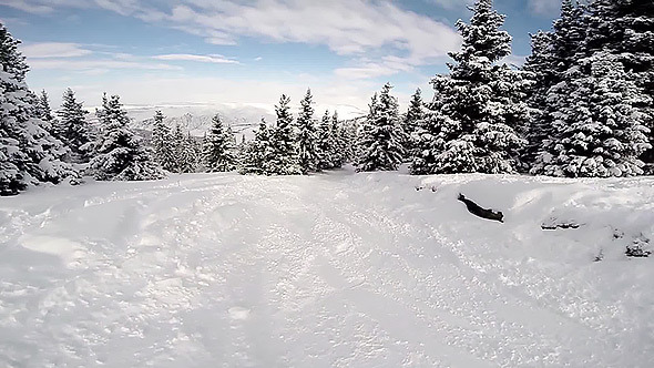 Snowboarding Snowboarding