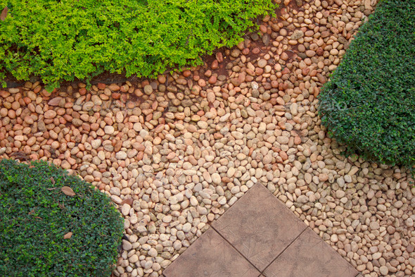 Stone walkway winding in garden (Misc) Photo Download