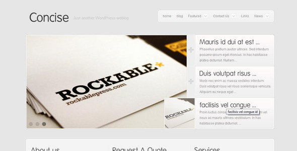 Concise Business and Portfolio Template