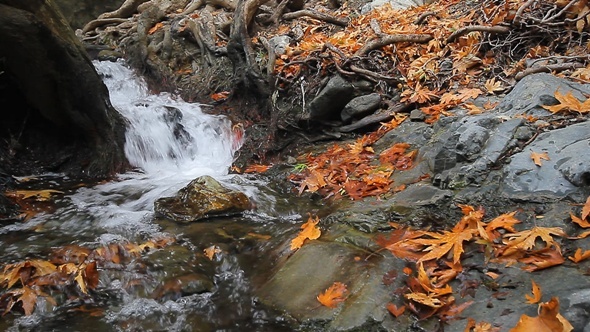 Autumn Waterfall Autumn Waterfall