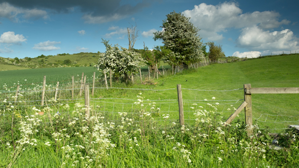 England Countryside Rural Summer Field 8 England Countryside Rural Summer Field 8