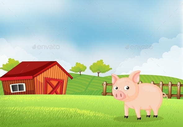 Pig on the Farm with a Barn Pig on the Farm with a Barn