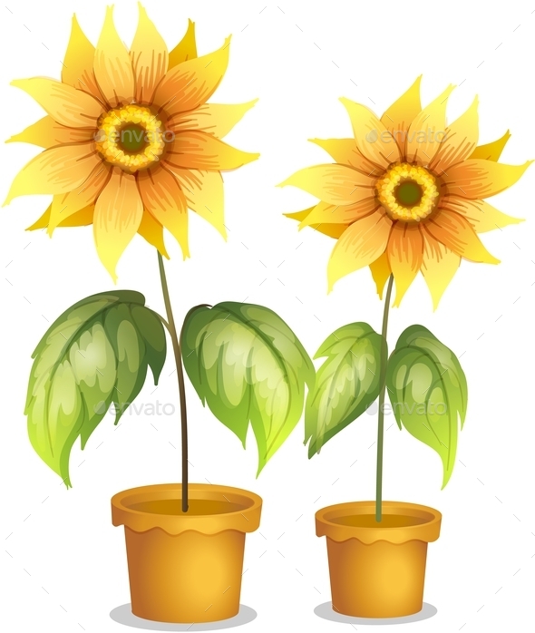 GraphicRiver Flower Plant in a Pot 9995669 GraphicRiver Flower Plant in a Pot 9995669