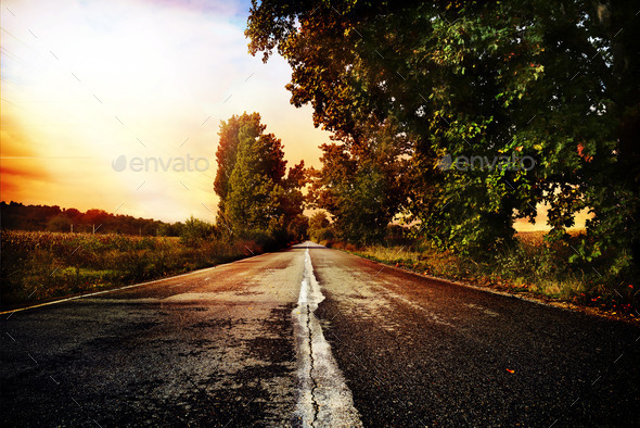Sunset Road (Misc) Photo Download