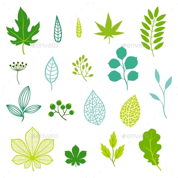 GraphicRiver Green Leaves and Elements 9997926 GraphicRiver Green Leaves and Elements 9997926