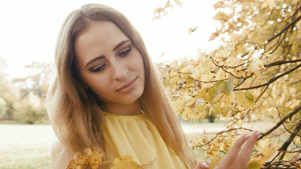 Beautiful Girl In Yellow Dress Touch Yellow Leafs Beautiful Girl In Yellow Dress Touch Yellow Leafs