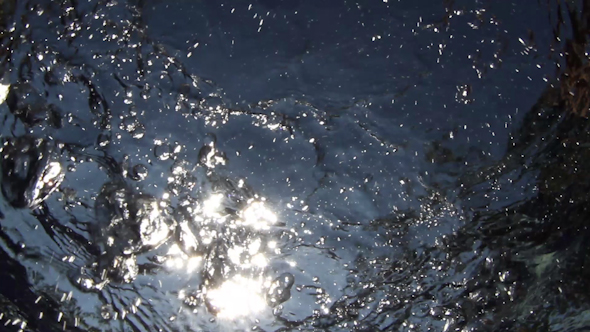 Underwater Pool Palm Tree Sun 2 Underwater Pool Palm Tree Sun 2