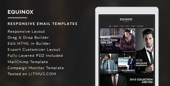 equinox - responsive newsletter + builder access 