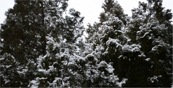 Snow 2 Snow 2