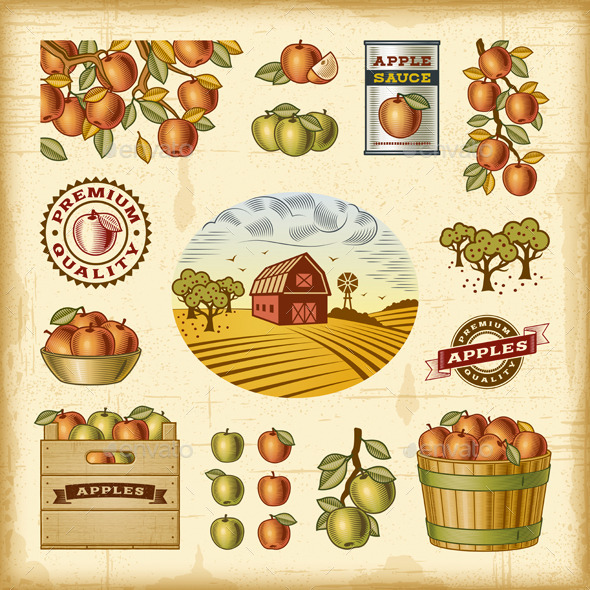 GraphicRiver Vintage Colorful Apple Harvest Set 10010941 GraphicRiver Vintage Colorful Apple Harvest Set 10010941