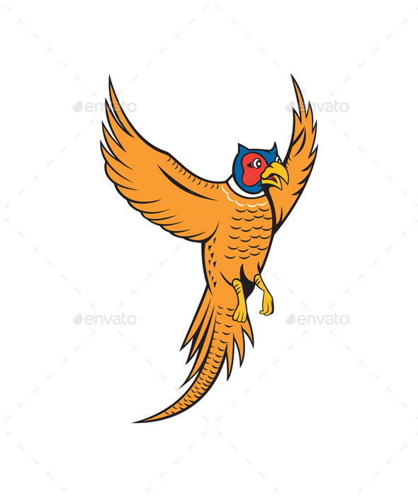 GraphicRiver Pheasant Bird Fowl Flying Cartoon 10014705 GraphicRiver Pheasant Bird Fowl Flying Cartoon 10014705