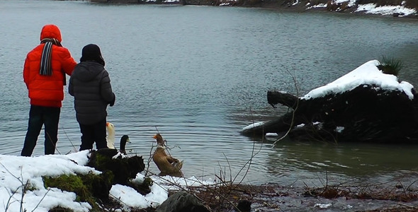 Children Feeding the Goose near Lake in Winter 2 Children Feeding the Goose near Lake in Winter 2