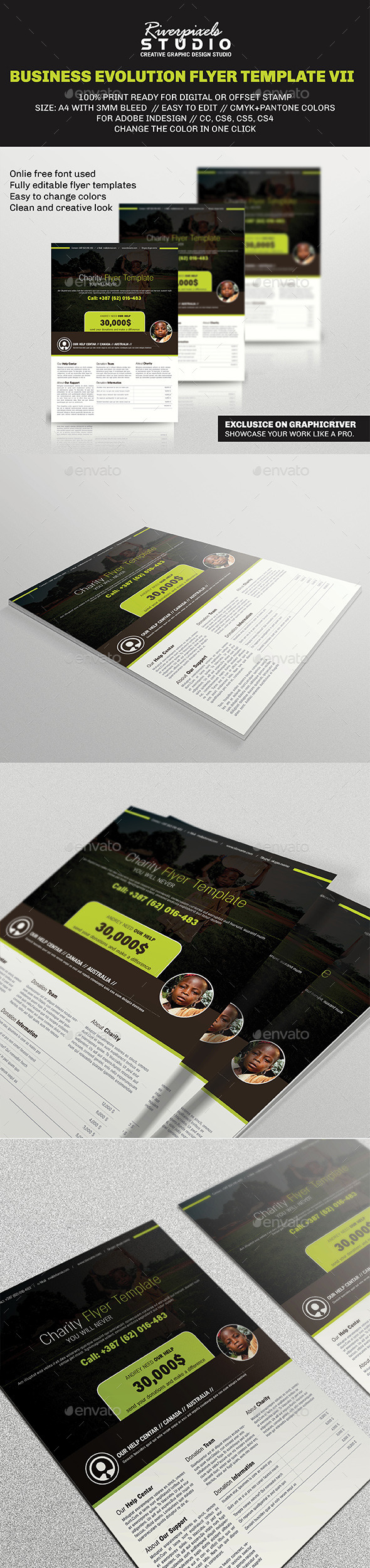 GraphicRiver Business Evolution Flyer Template VII 10037203 GraphicRiver Business Evolution Flyer Template VII 10037203