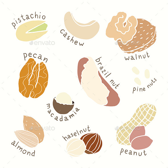 Different Nuts Set Different Nuts Set