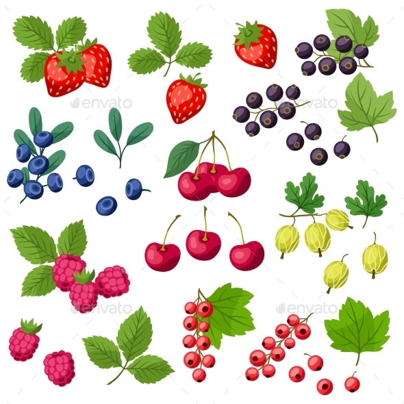 GraphicRiver Set of Berries 10042128 GraphicRiver Set of Berries 10042128