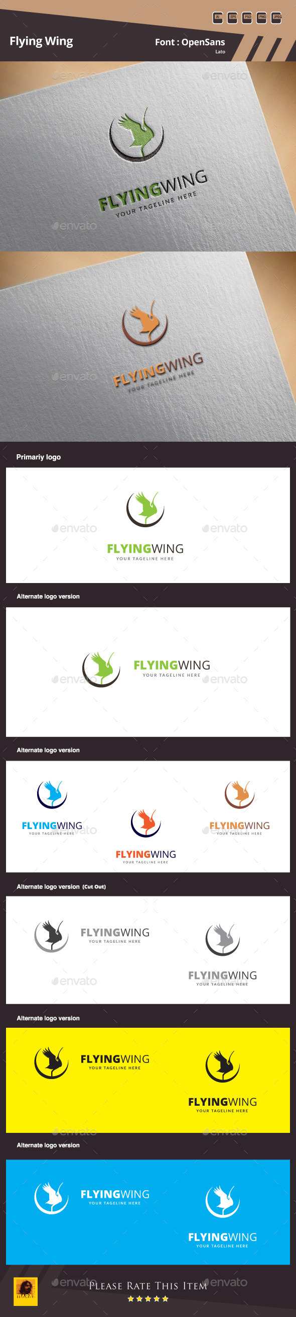 GraphicRiver Flying Wing Logo Template 10051542 GraphicRiver Flying Wing Logo Template 10051542