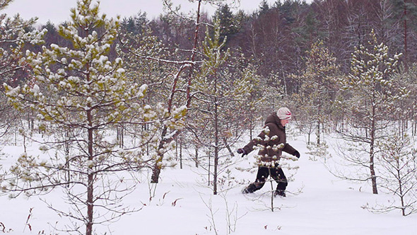 Winter Walking 1 Winter Walking 1