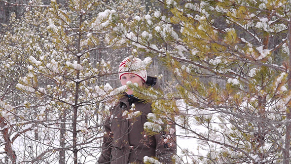 Winter Walking 2 Winter Walking 2