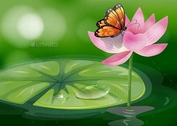 Butterfly with Flower Butterfly with Flower