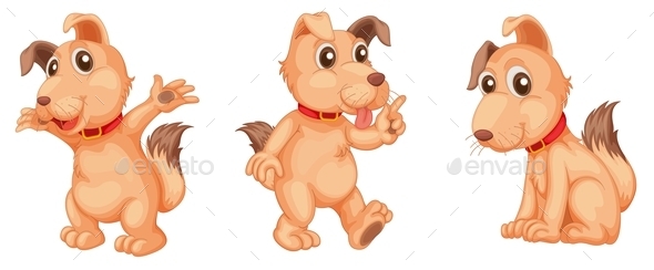Dog Series Dog Series