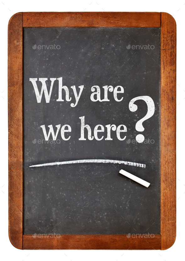 why are we here question
