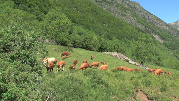 VideoHive French Alps 7 10071679 VideoHive French Alps 7 10071679