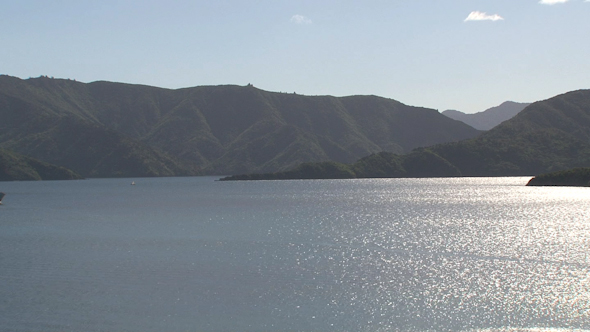 VideoHive Picton Ferry New Zealand 4 10073169 VideoHive Picton Ferry New Zealand 4 10073169