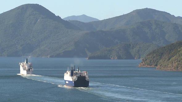 VideoHive Ferries Leaving Harbor Picton New Zealand 3 10073160 VideoHive Ferries Leaving Harbor Picton New Zealand 3 10073160