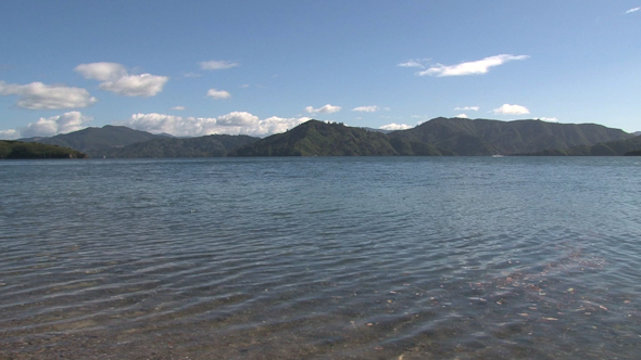 VideoHive Picton Landscape New Zealand 1 10073236 VideoHive Picton Landscape New Zealand 1 10073236